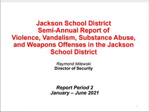 Violence and Vandalism report cover