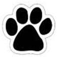 Wildcats 